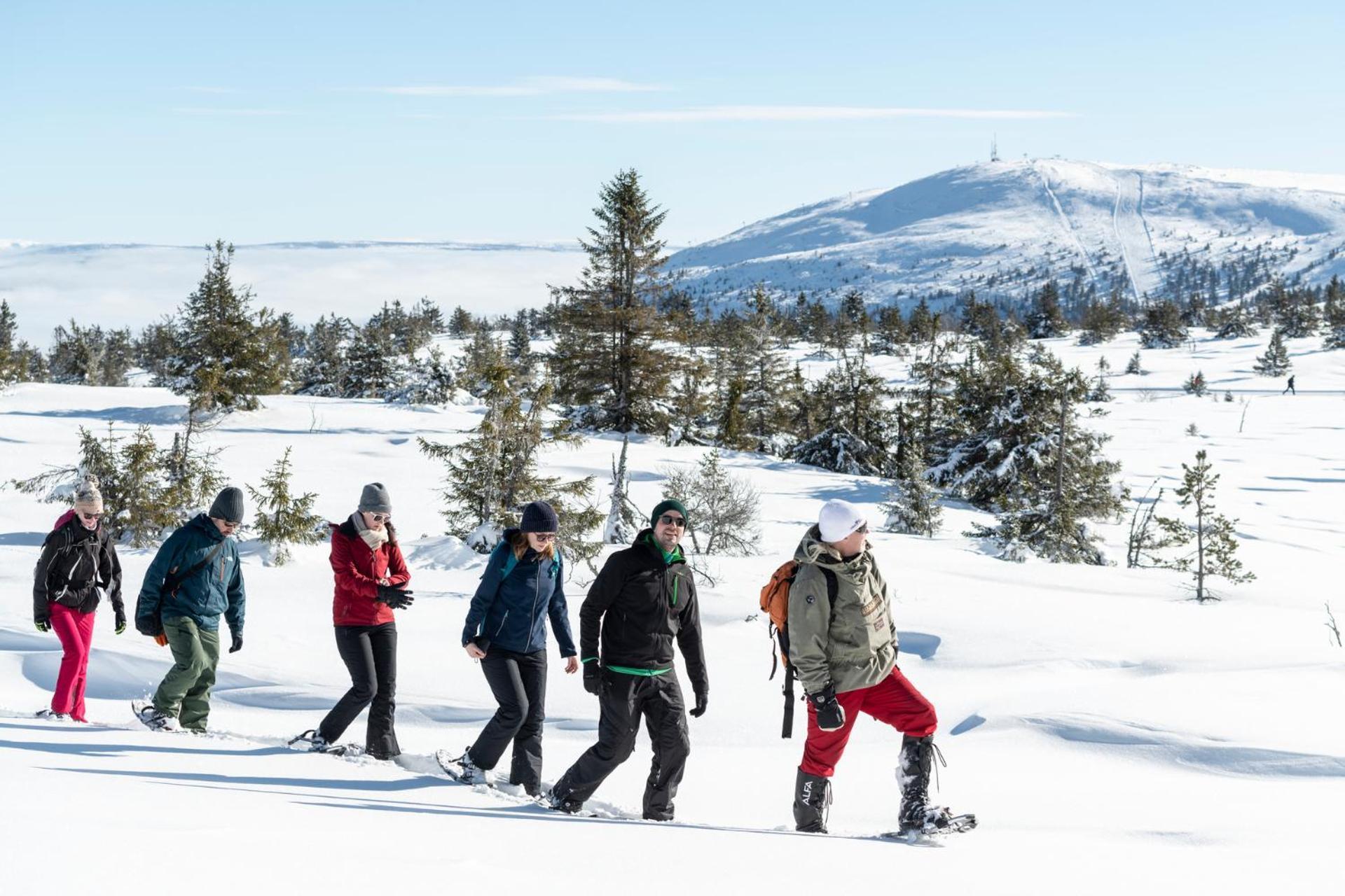Trysil Hotel エクステリア 写真